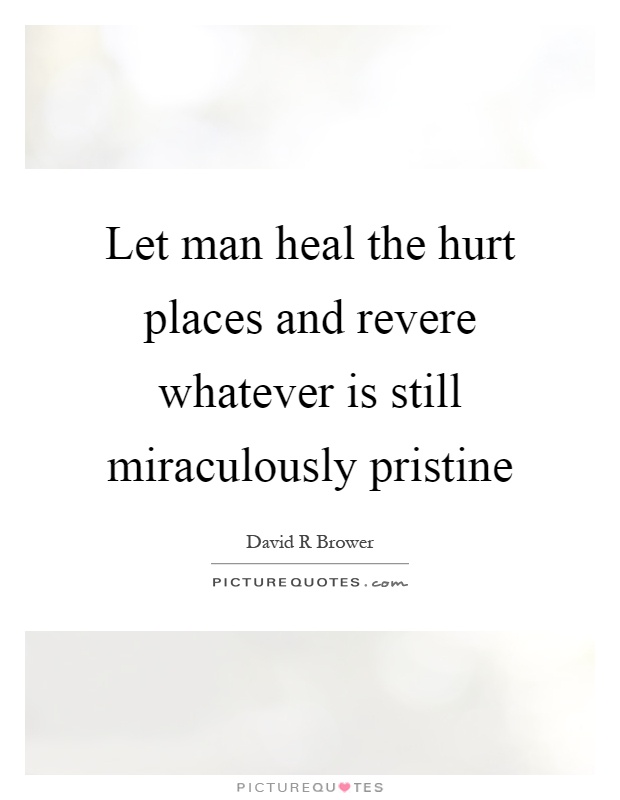 Let man heal the hurt places and revere whatever is still miraculously pristine Picture Quote #1