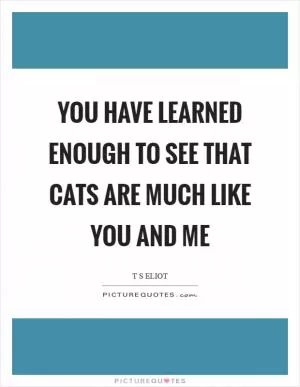 You have learned enough to see that cats are much like you and me Picture Quote #1