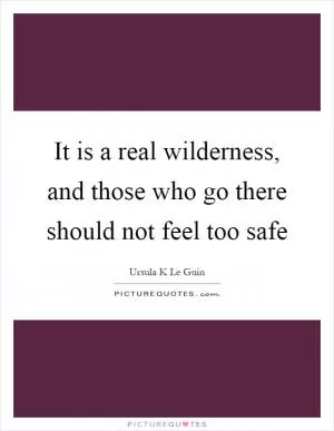 It is a real wilderness, and those who go there should not feel too safe Picture Quote #1