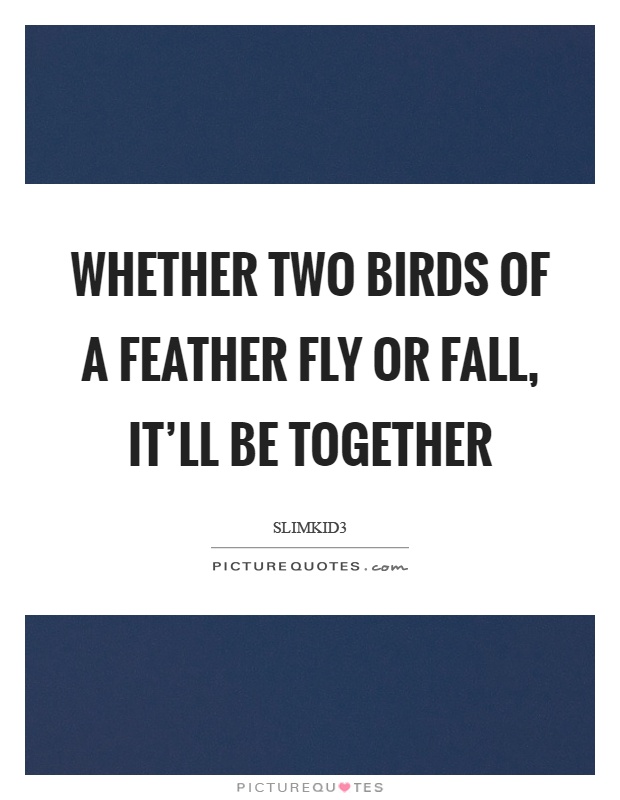 Whether two birds of a feather fly or fall, it'll be together Picture Quote #1