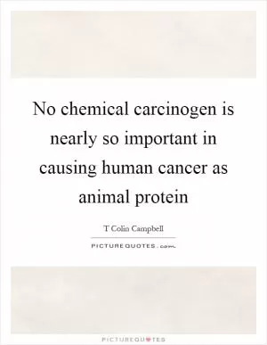 No chemical carcinogen is nearly so important in causing human cancer as animal protein Picture Quote #1