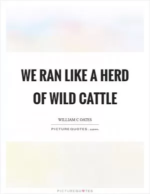 We ran like a herd of wild cattle Picture Quote #1