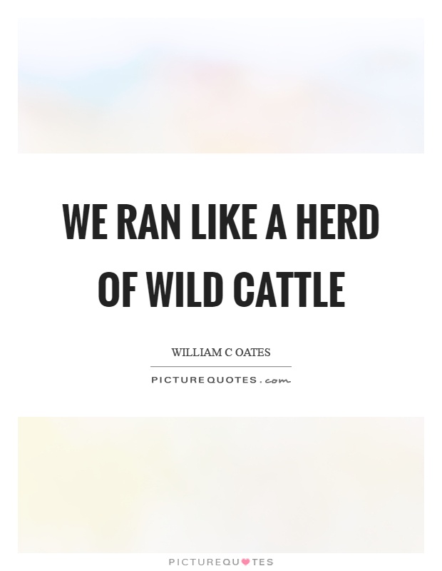 We ran like a herd of wild cattle Picture Quote #1