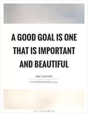 A good goal is one that is important and beautiful Picture Quote #1