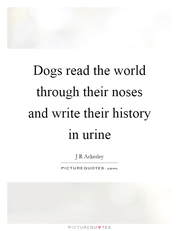 Dogs read the world through their noses and write their history in urine Picture Quote #1