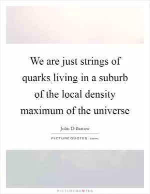 We are just strings of quarks living in a suburb of the local density maximum of the universe Picture Quote #1