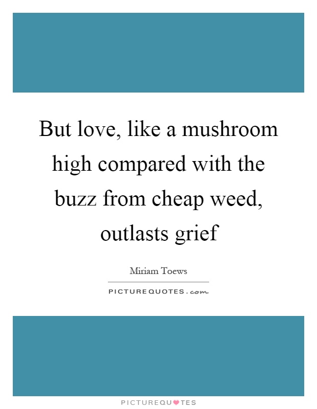 But love, like a mushroom high compared with the buzz from cheap weed, outlasts grief Picture Quote #1