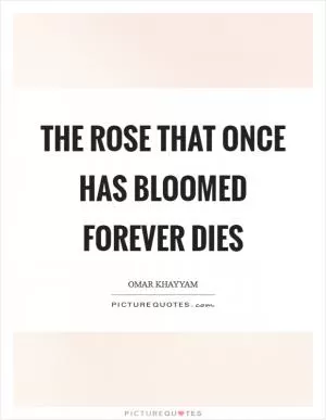 The rose that once has bloomed forever dies Picture Quote #1