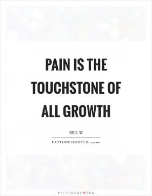 Pain is the touchstone of all growth Picture Quote #1