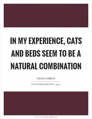 In my experience, cats and beds seem to be a natural combination Picture Quote #1