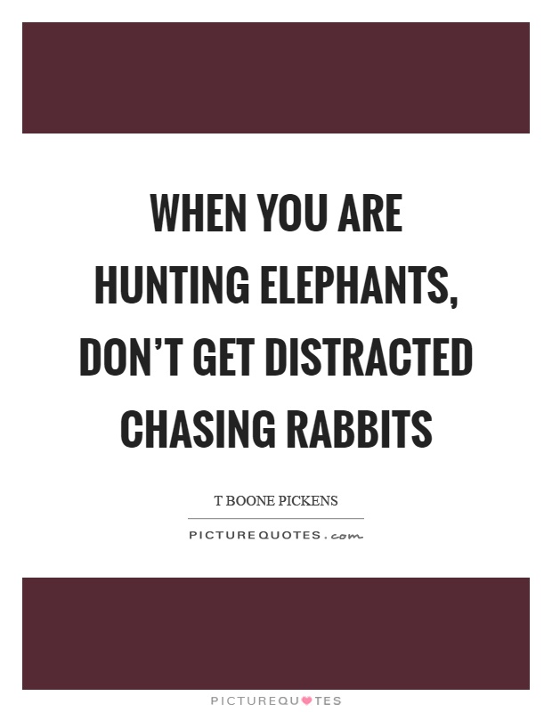 When you are hunting elephants, don't get distracted chasing rabbits Picture Quote #1