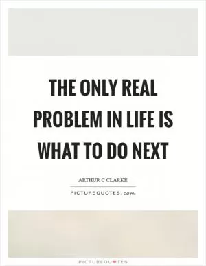 The only real problem in life is what to do next Picture Quote #1