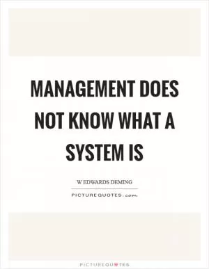 Management does not know what a system is Picture Quote #1
