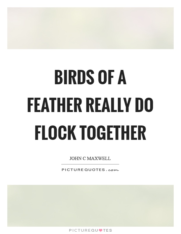 Birds of a feather really do flock together Picture Quote #1