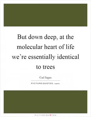 But down deep, at the molecular heart of life we’re essentially identical to trees Picture Quote #1