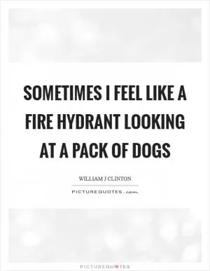 Sometimes I feel like a fire hydrant looking at a pack of dogs Picture Quote #1