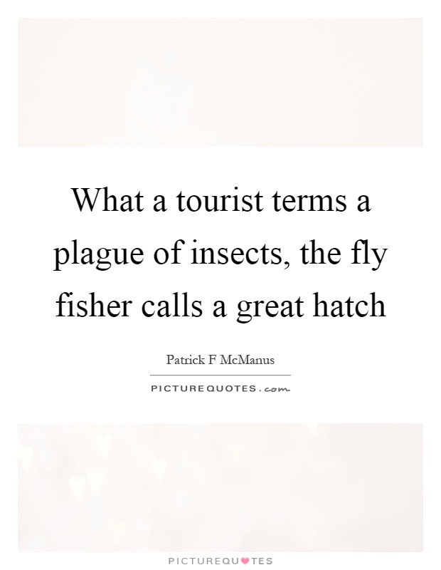 What a tourist terms a plague of insects, the fly fisher calls a great hatch Picture Quote #1