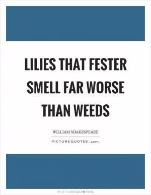 Lilies that fester smell far worse than weeds Picture Quote #1