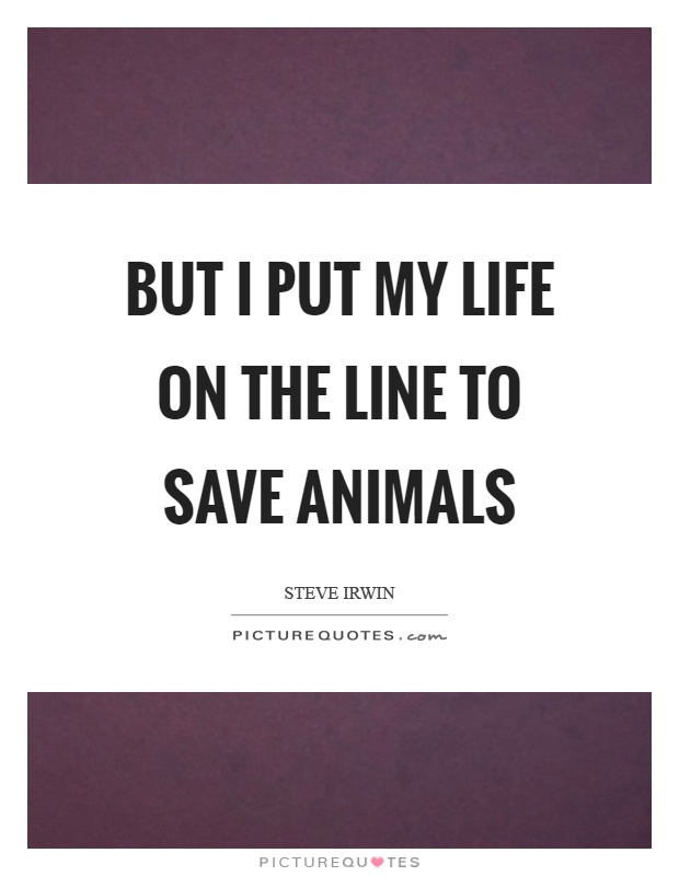 But I put my life on the line to save animals Picture Quote #1