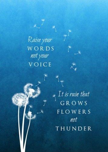 raise your words not your voice. it is rain that grows flowers not thunder Picture Quote #1