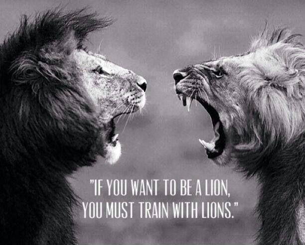 If you want to be a lion you must train with lions Picture Quote #1