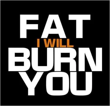 Fat i will burn you Picture Quote #1