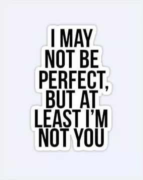 I may not be perfect but at least i am not you Picture Quote #1