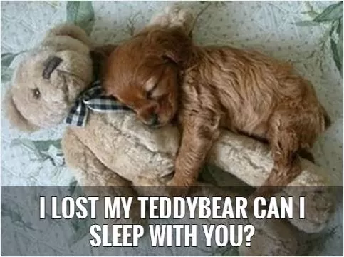 I lost my teddybear can I sleep with you?   Picture Quote #1