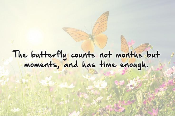The butterfly counts not months but moments, and has time enough Picture Quote #1