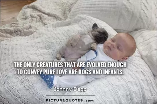 The only creatures that are evolved enough  to convey pure love are dogs and infants Picture Quote #1