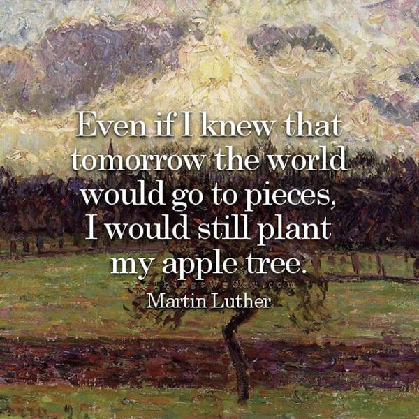 Even if I knew that tomorrow the world would go to pieces,  I would still plant  my apple tree Picture Quote #2