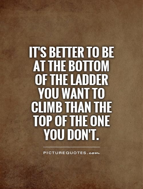 It's better to be at the bottom of the ladder you want to climb than the top of the one you don't Picture Quote #1