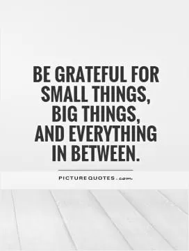 Be grateful for small things,  big things,  and everything  in between Picture Quote #1