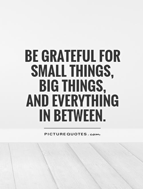 be-grateful-for-small-things-big-things-and-everything-in-between-quote-1.jpg