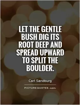 Let the gentle bush dig its root deep and spread upward to split the boulder Picture Quote #1