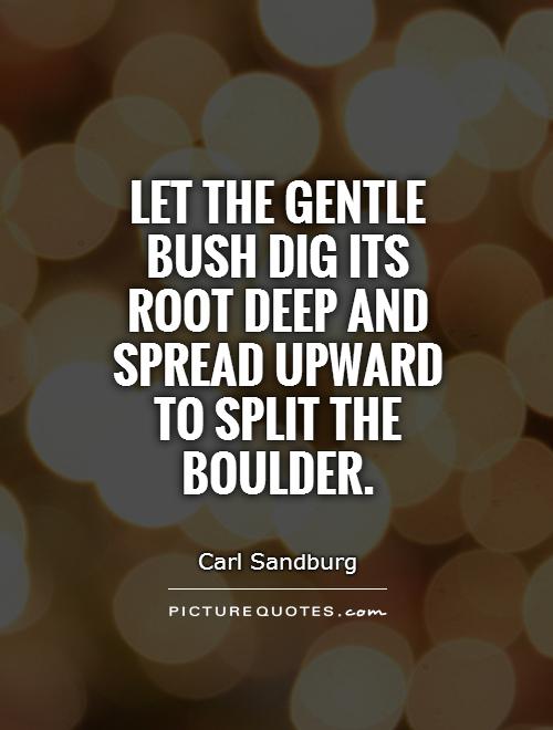 Let the gentle bush dig its root deep and spread upward to split the boulder Picture Quote #1
