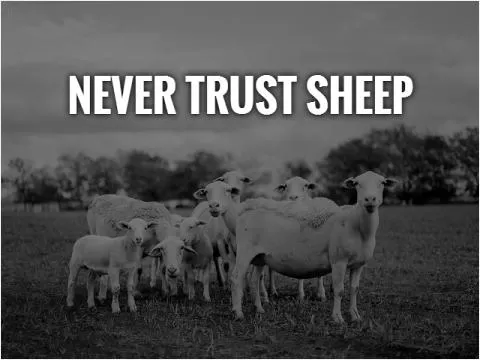 Never trust sheep Picture Quote #1