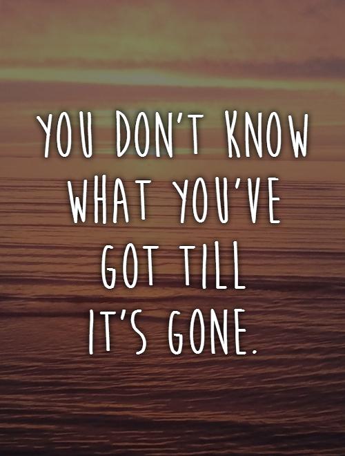 You don't know what you've got till  it's gone Picture Quote #1