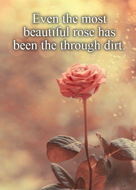 Even the most  beautiful rose has  been the through dirt Picture Quote #1