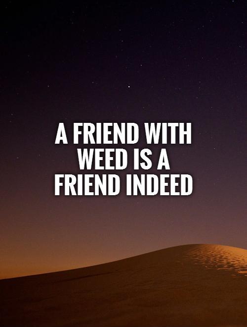 A friend with weed is a friend indeed Picture Quote #1
