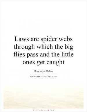 Laws are spider webs through which the big flies pass and the little ones get caught Picture Quote #1