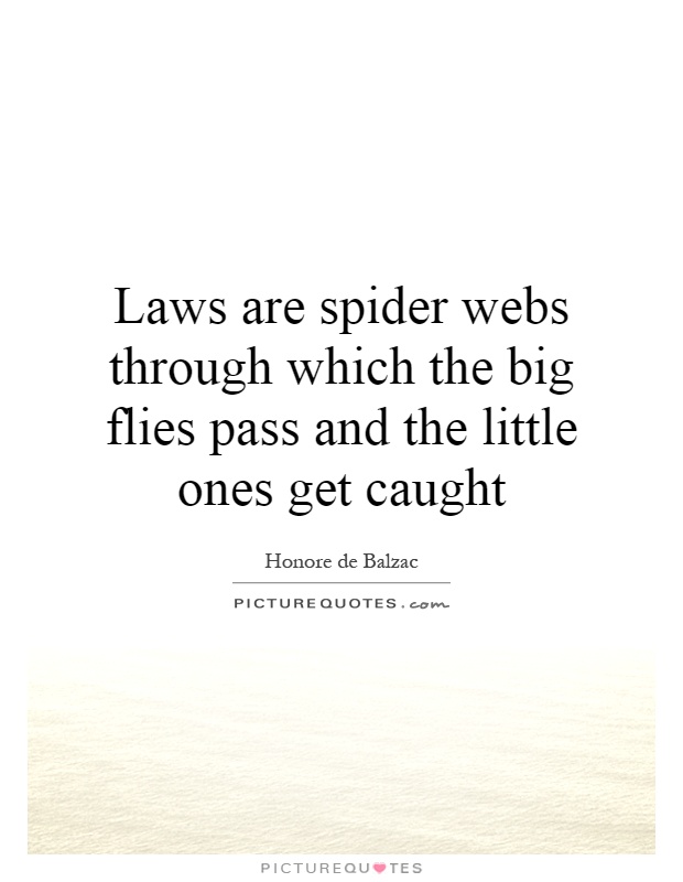 Laws are spider webs through which the big flies pass and the little ones get caught Picture Quote #1
