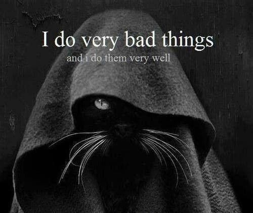 I do very bad things.. and I do them very well Picture Quote #1