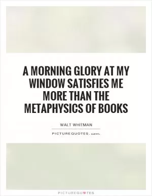 A morning glory at my window satisfies me more than the metaphysics of books Picture Quote #1