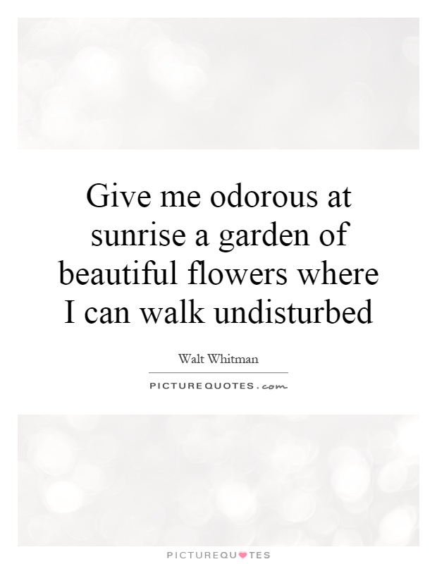 Give me odorous at sunrise a garden of beautiful flowers where I can walk undisturbed Picture Quote #1