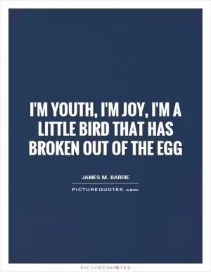 I'm youth, I'm joy, I'm a little bird that has broken out of the egg Picture Quote #1