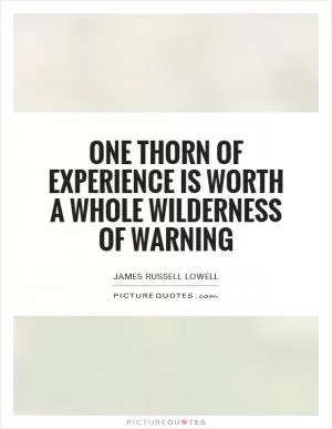 One thorn of experience is worth a whole wilderness of warning Picture Quote #1