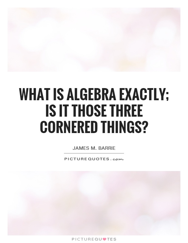 What is algebra exactly; is it those three cornered things? Picture Quote #1