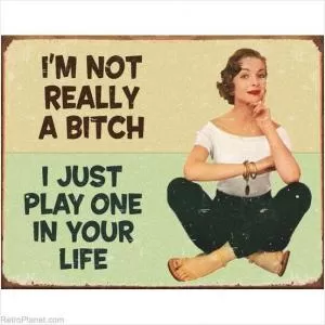 I'm not really a bitch, I just play one in your life Picture Quote #1