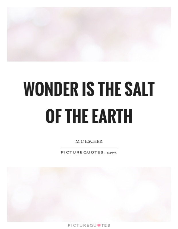 Wonder is the salt of the earth Picture Quote #1
